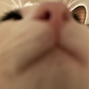 Meet your Posher, Evalynn